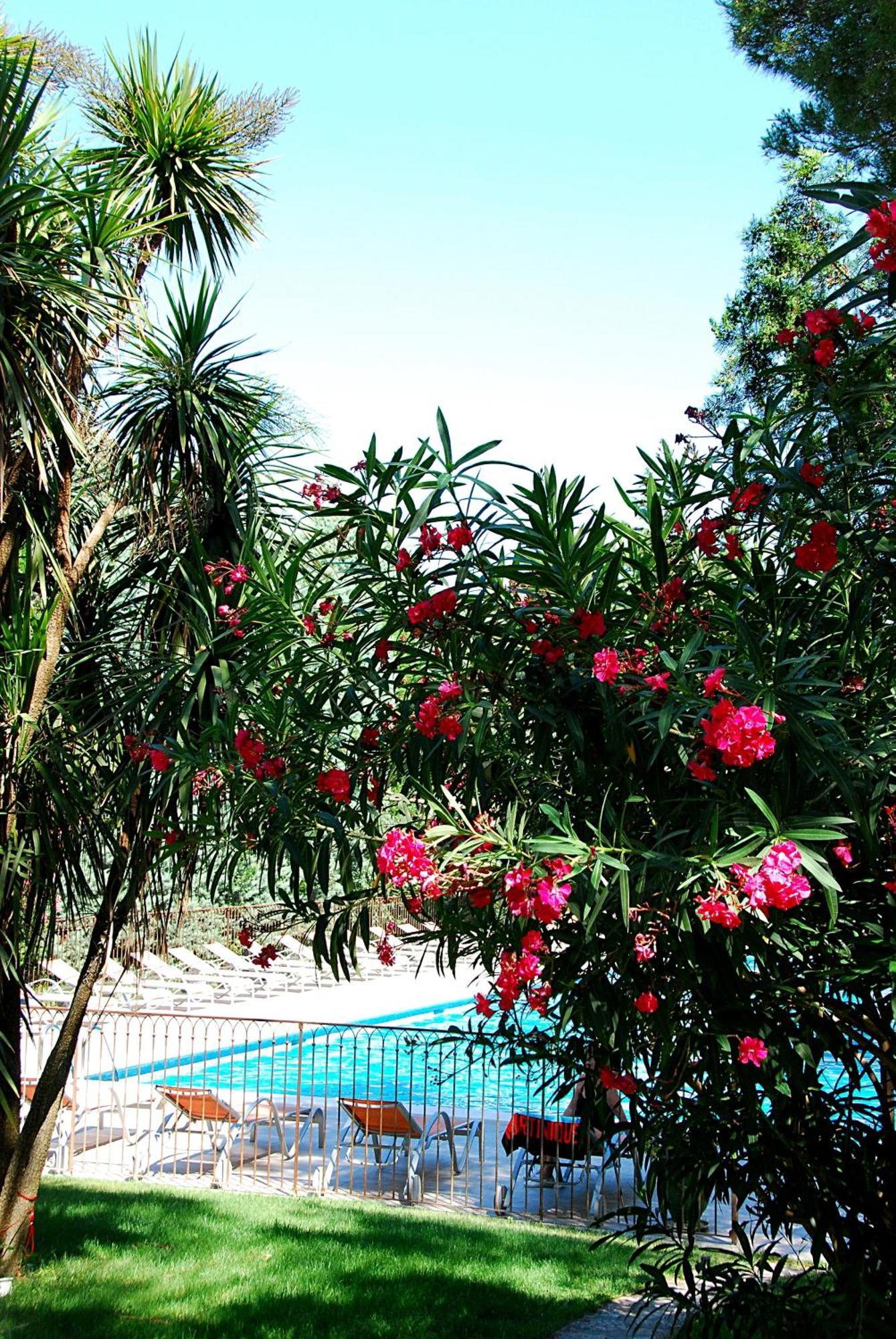 Hotel Les Mazets Des Roches Tarascón Exterior foto